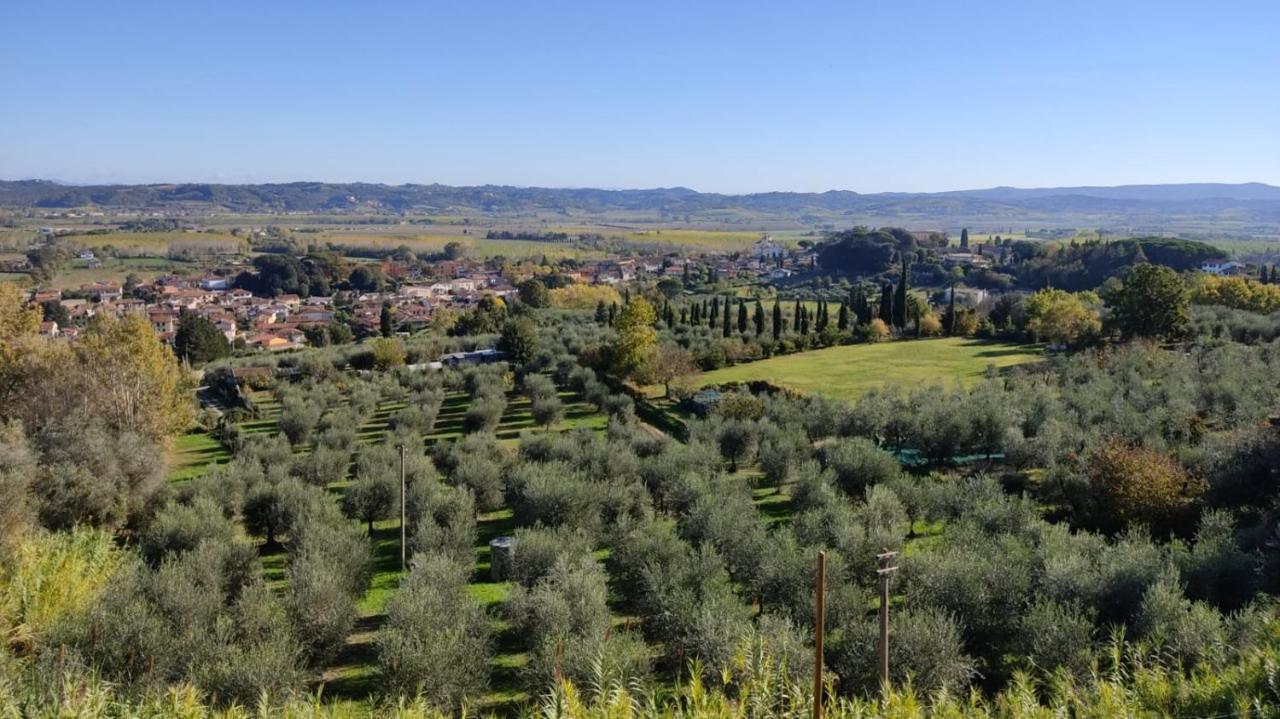 Holiday House I Colli Pisani Apartment กาปันนอลิ ภายนอก รูปภาพ