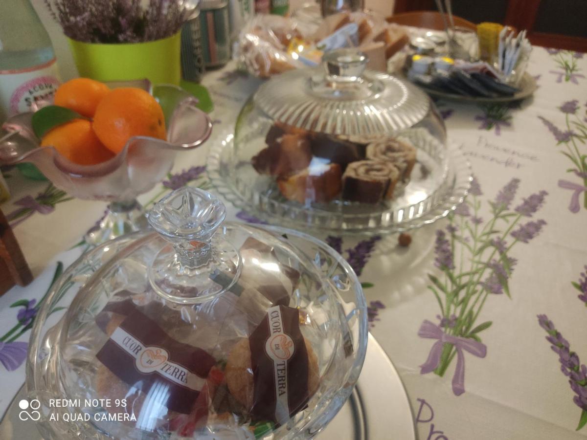 Holiday House I Colli Pisani Apartment กาปันนอลิ ภายนอก รูปภาพ